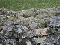 IMG 5717