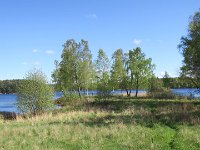 IMG 5728