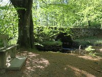 IMG 5729