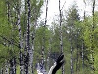 folderimage