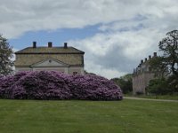 P1020308