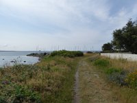 P1030155