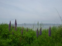 P1090755