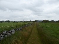 SK5-18