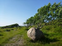 Mölle fälad 1