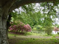 P1020309