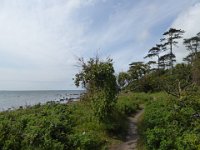 P1030140