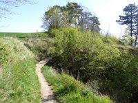 P1010078