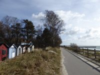 P1000432