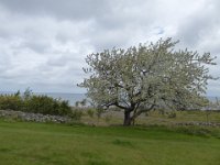P1010718