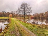 Walk1A