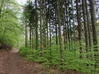 Walk1B
