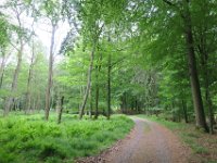 Walk1E