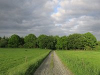 Walk1G