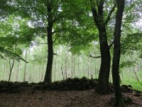 Walk1J