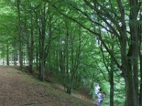 Walk1L