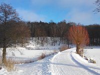 Walk1M