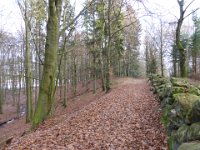 Walk1N