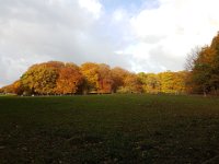 20161029 110604