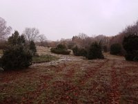 20161110 093733