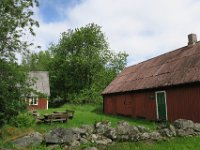IMG 2542