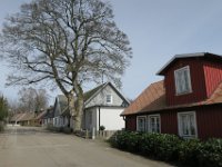 IMG 0361